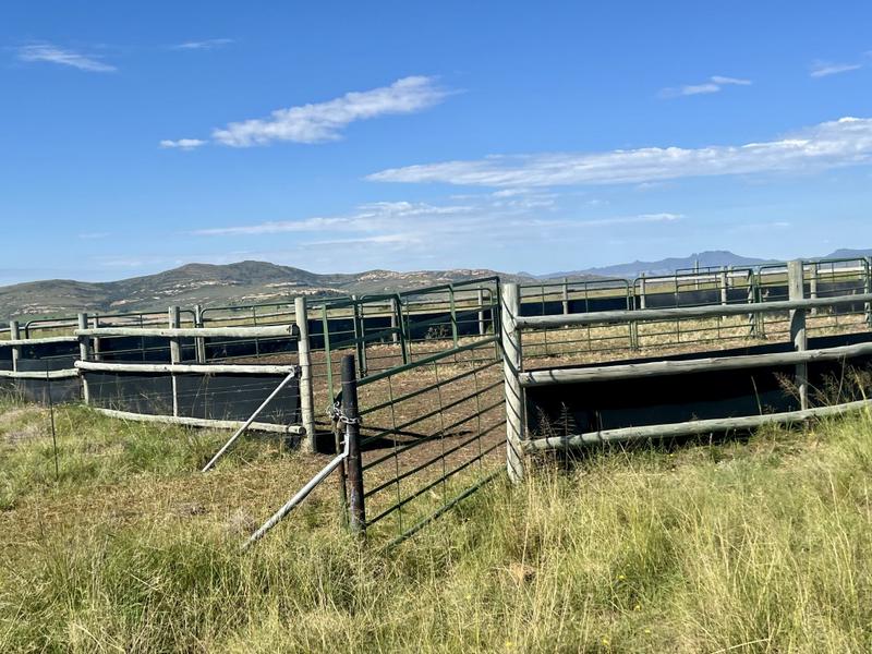 0 Bedroom Property for Sale in Fouriesburg Free State